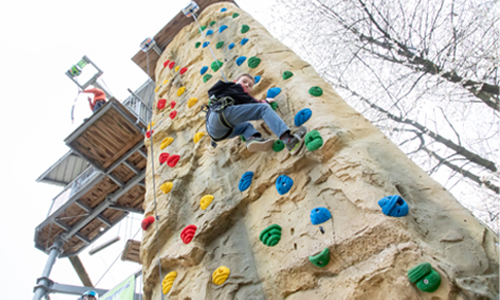 Image of a boy climbing the climbing wall